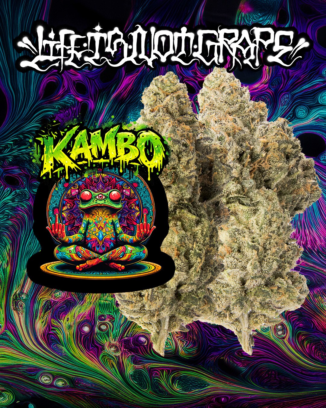 kamboLINGpromo