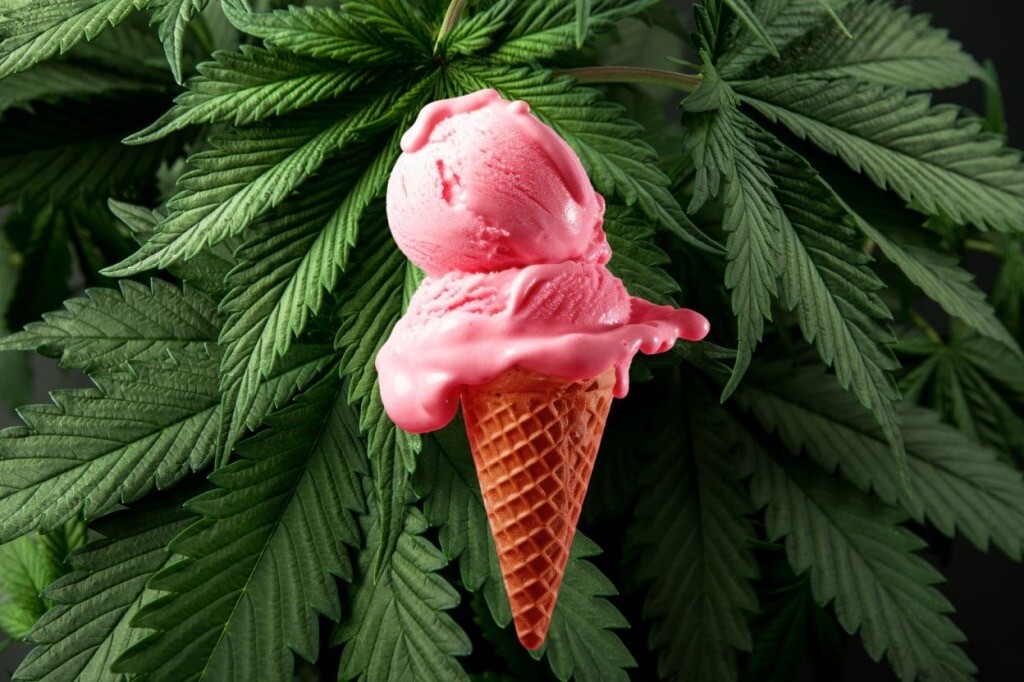 Image of Gelato Ice-cream
