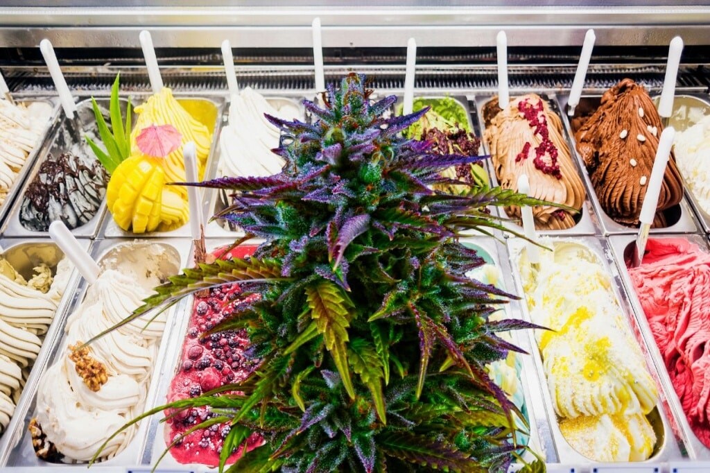 Image of ice-cream with cannabis strain infront of it