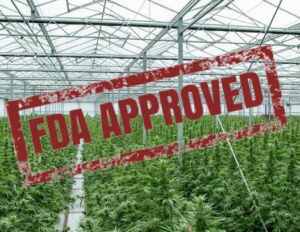 FDA 1