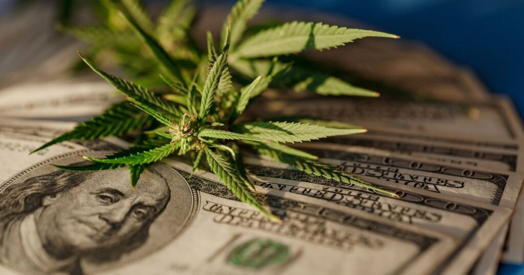 Close-up of a vibrant cannabis branch with green serrated leaves resting on a fanned stack of crisp one hundred dollar bills, symbolizing the financial and legal stakes in Missouri's THCA lawsuit involving cannabis companies and smoke shops