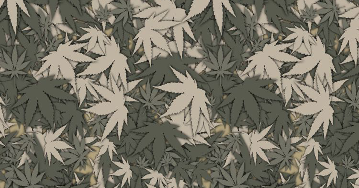 camopot1 1