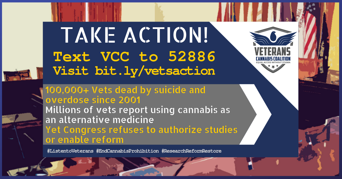 TAKEACTION VCC 1