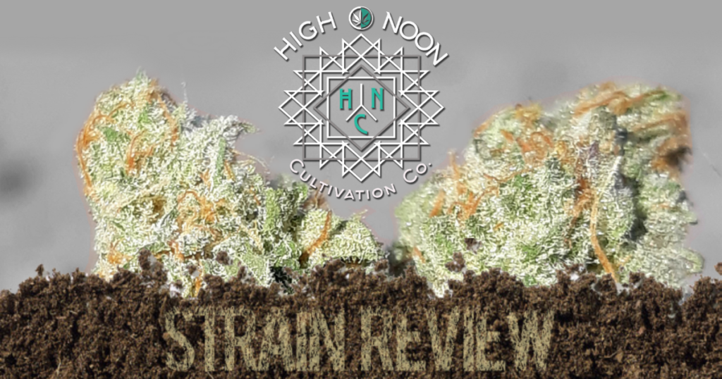high noon cultivation strain review white russian 1