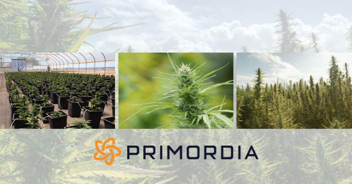 beard bros pharms primordia hemp 1