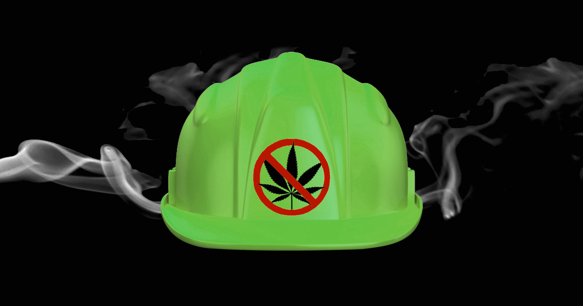 cannabisjobsafety beardbrospharms 1