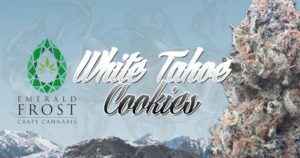 white tahoe cookies emerald frost oregon 1