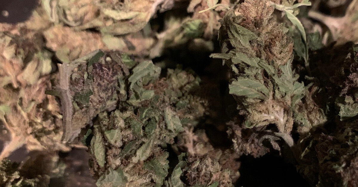 beard bros pharms tired of mids