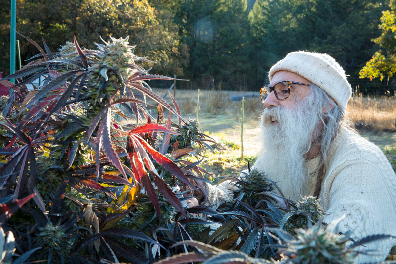  Swami in his garden, 2018 (photo by Jim Olive) 