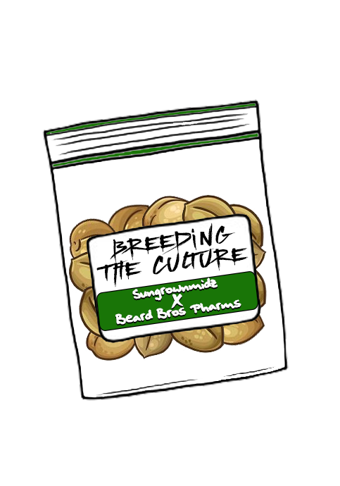 Breeding-the-Culture-Sungrownmidz-Beard-Bros-Pharms-Nevil-Shoenmakers
