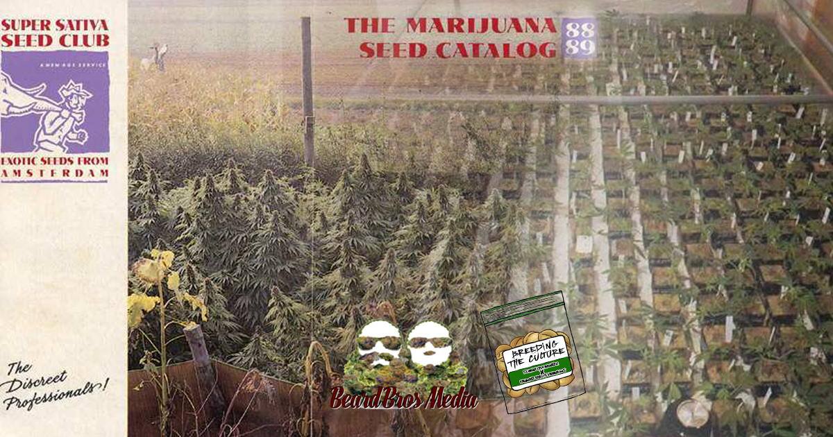 beard bros pharms breeding the culture super sativa seed club 1