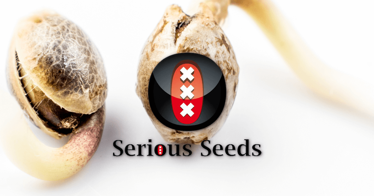 beard bros pharms serious seeds