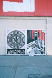 Cannabis Justice Now