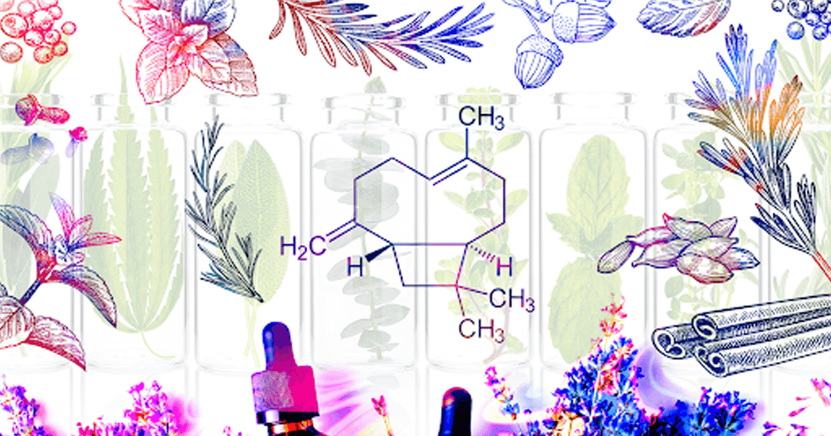 beard bros pharms medicine box beta caryophyllene