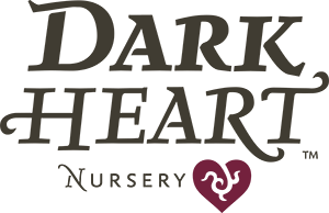 dark-heart-nursery-logo