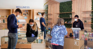 Customer Engagement in Cannabis and Brand Success