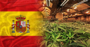 Cultivation Starts In Spain