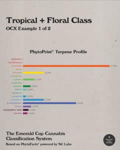 Tropicals+Floral Emerald Cup