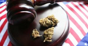 cannabis policy cole memorandum
