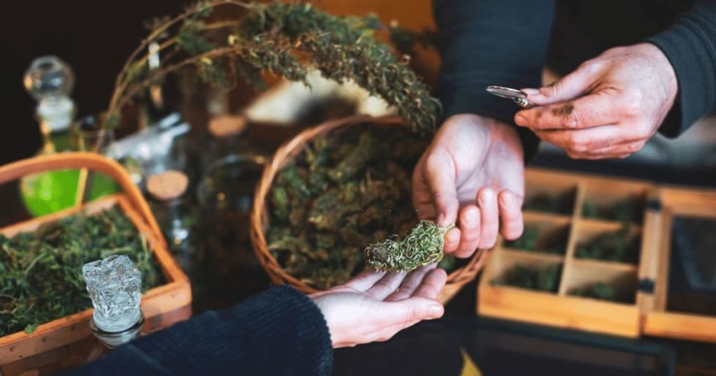 Illinois sales record on recreational cannabis