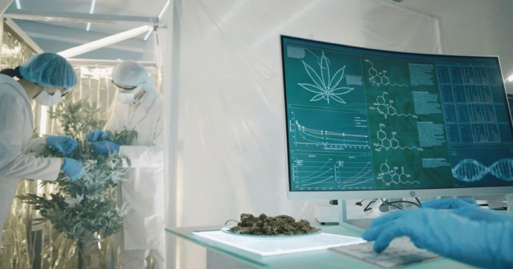 nih promotes cancer research cannabis