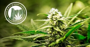 oregon trade groups consolidate efforts