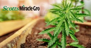 scotts miracle gro thought hawthorne sales down