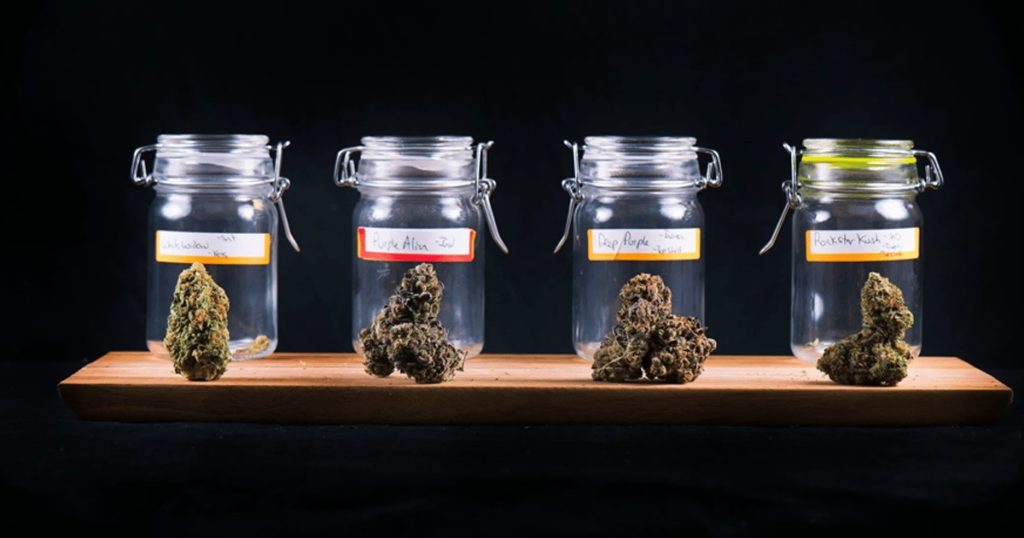 Study Marijuana Strain Labels Misleading