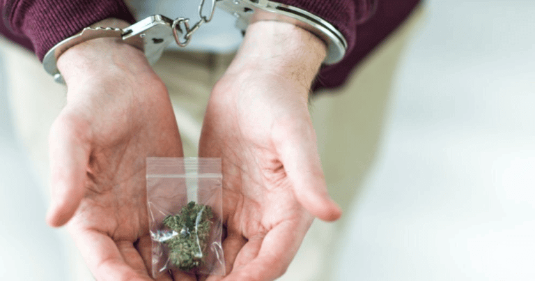 BB DZ Art 186 DEA Keeps Arresting People for Cannabis 1 Banner 270622