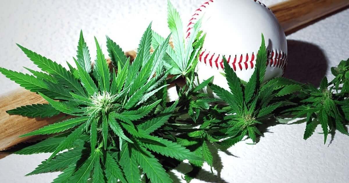 mlb board cbd company sponsorships teams