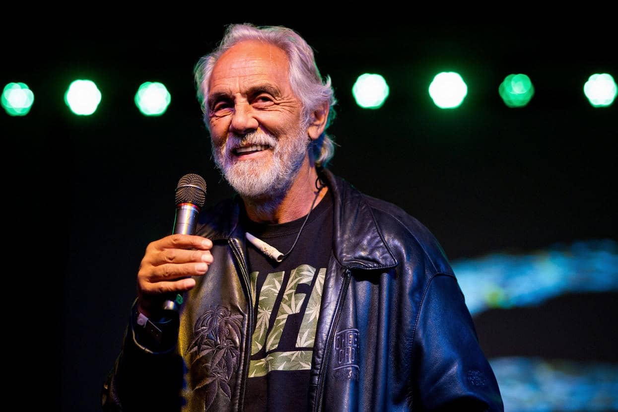 tommy chong serendipitous path homelessness hollywood