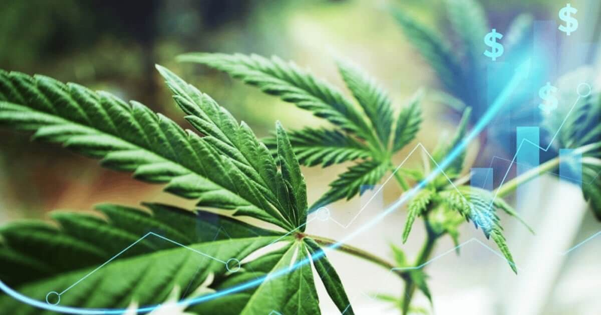 treasury department gather data cannabis businesses banks
