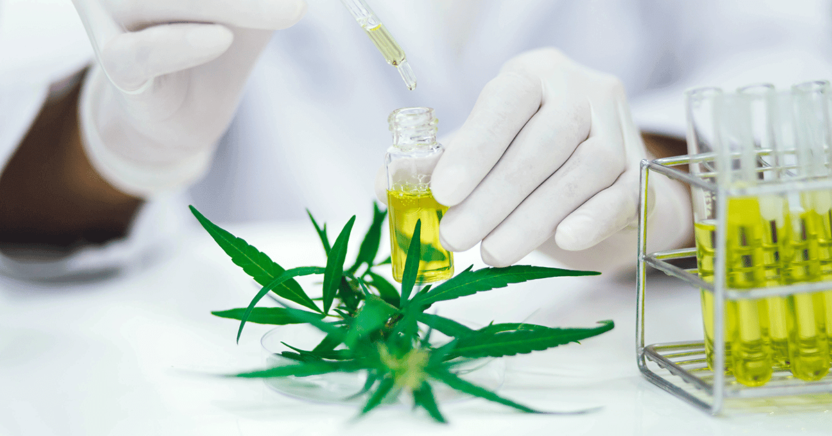 The Low-Down on Cannabis Testing