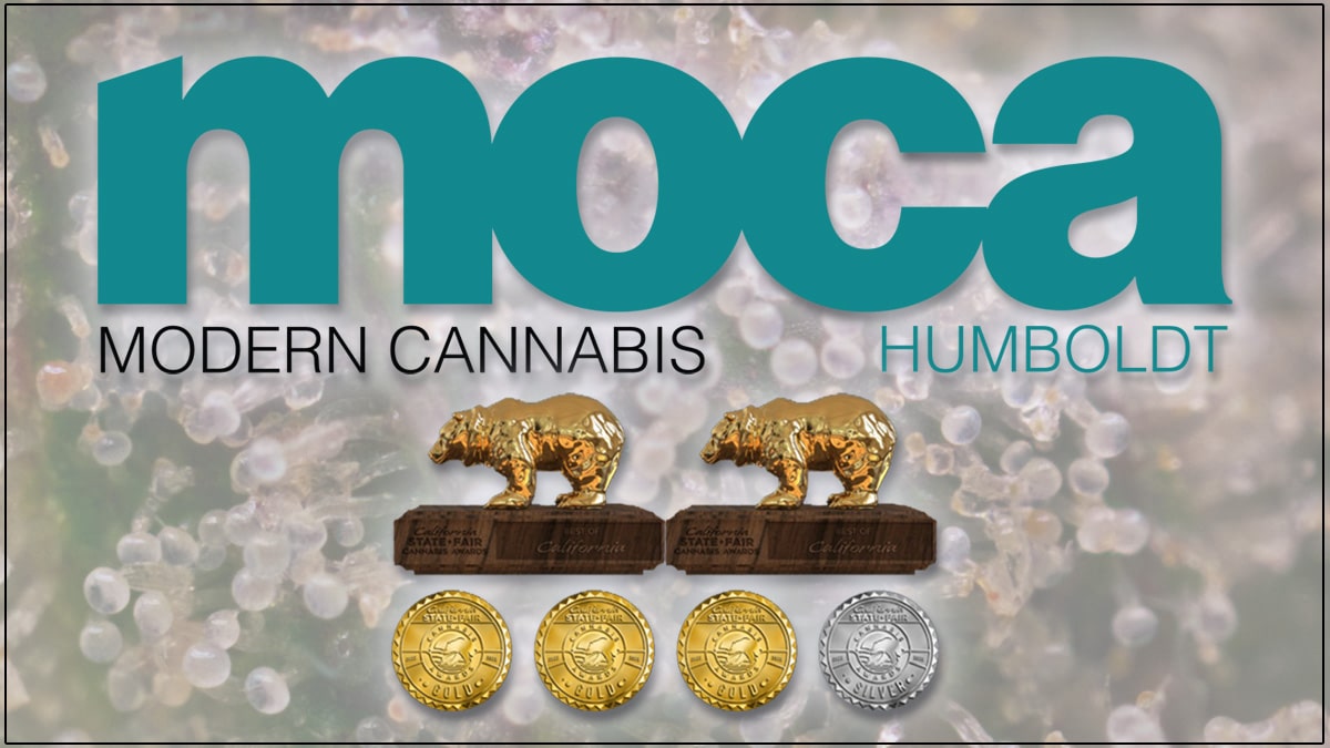 moca humboldt california state fair