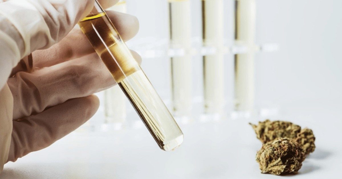 NYPD, NYFD Update Policies on Drug Testing Based on Legalization