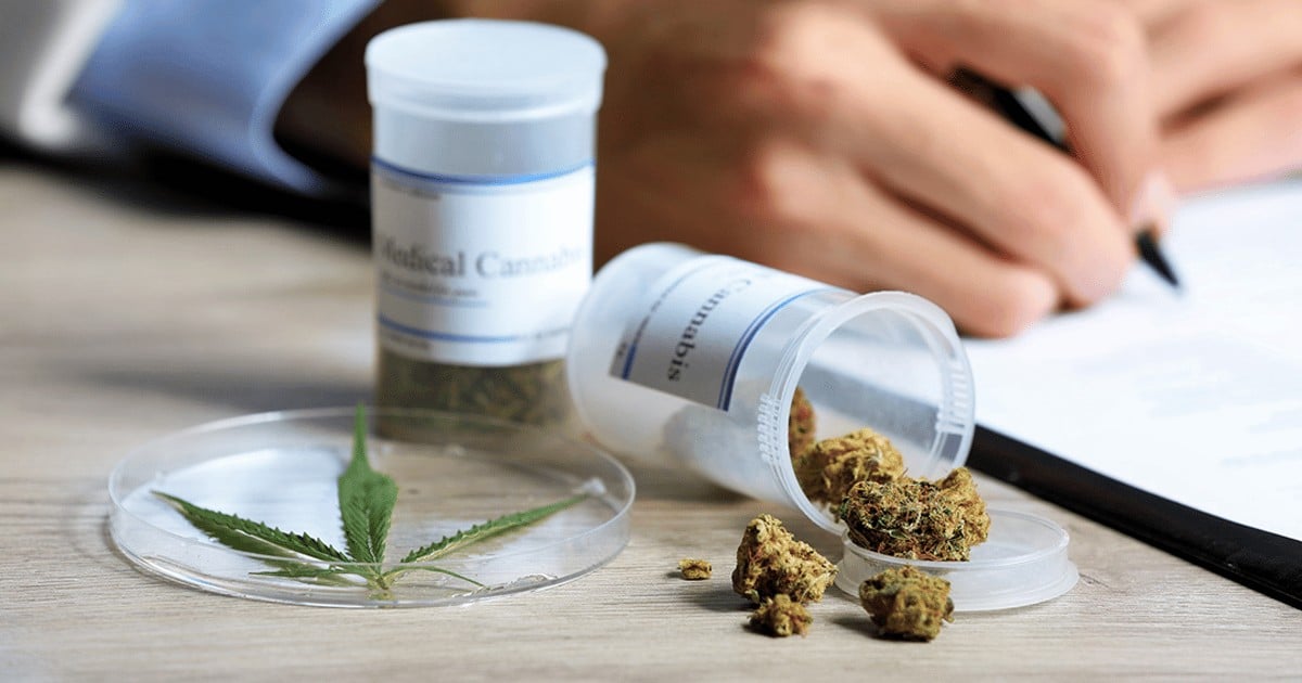 texas medical marijuana companies forced play long game