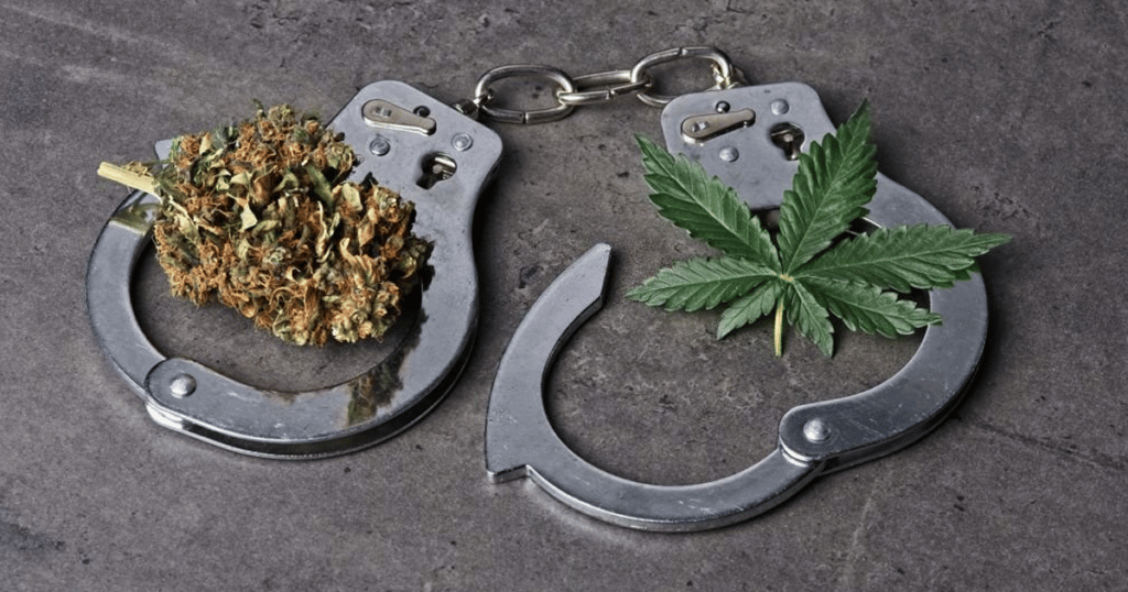 Double Standards Cannabis Prisoners