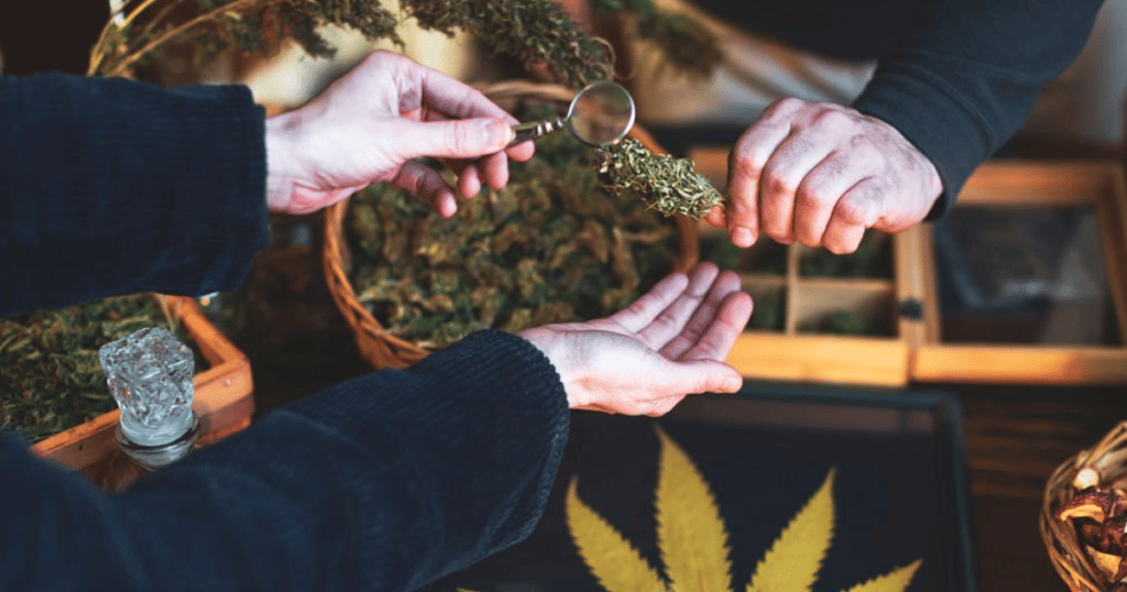 Marijuana Michigan