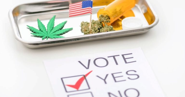 fall election primer states legalize