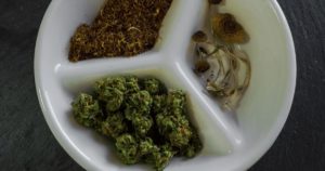 Psychedelics Marijuana Use Reaches New High Among Young Adults
