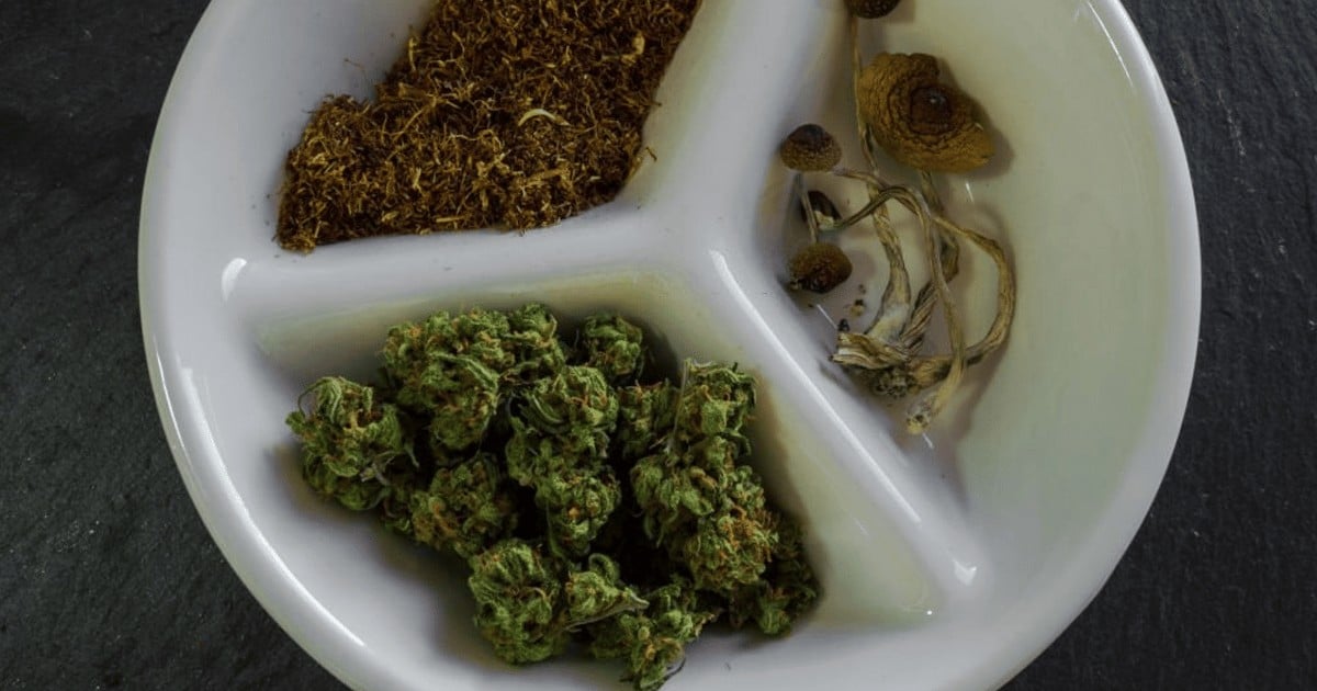 psychedelics marijuana high among young adults