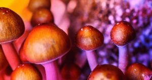 Support Psychedelics Research For Military Continues Rise