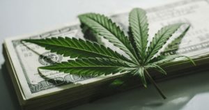 safe equity protections former marijuana regulators