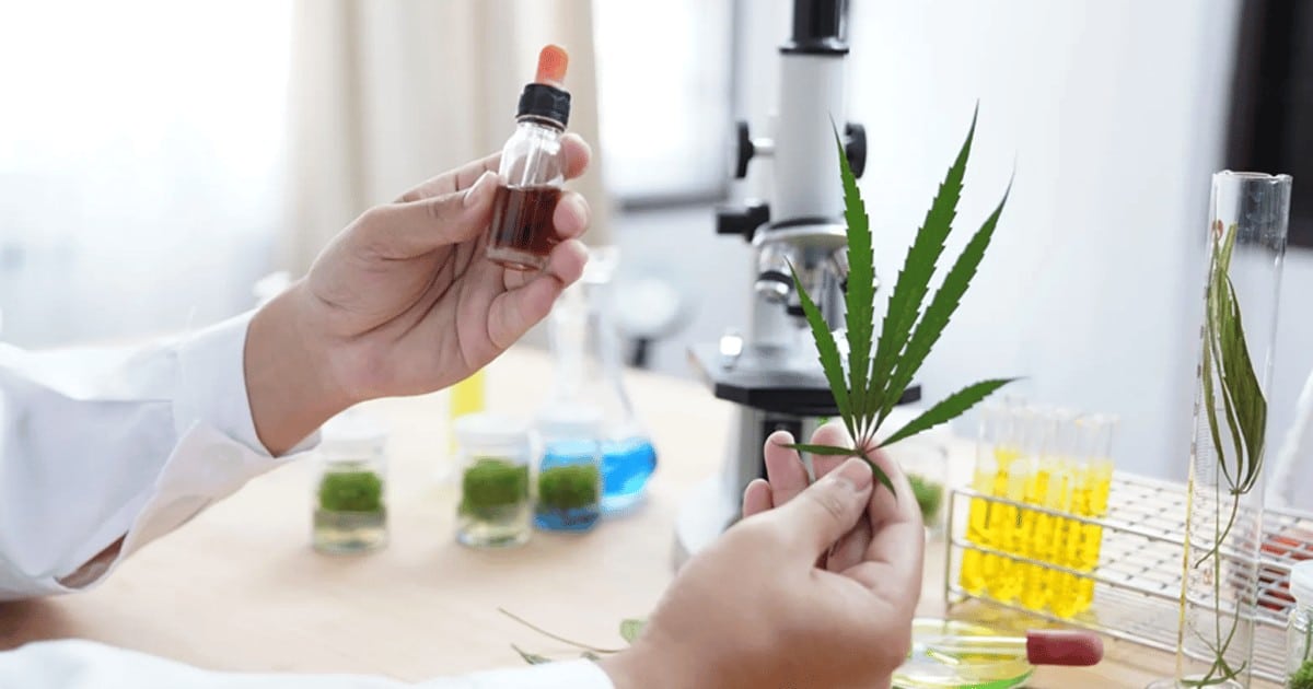 Several Brands, Testing Lab Sued Arkansas Consumers over False THC Results