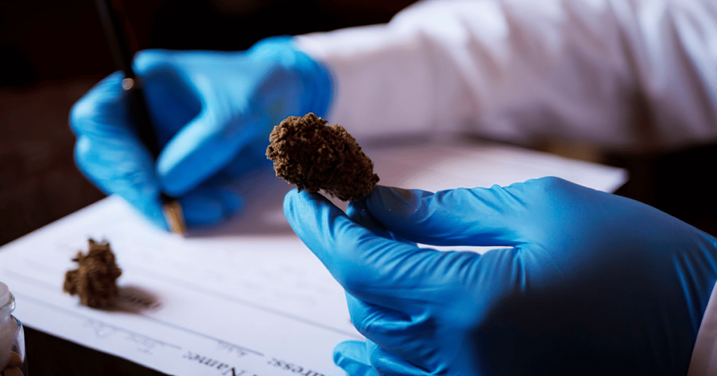 Medical Marijuana Research Act