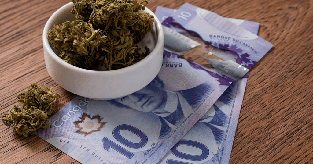 Benefits Government Weed Canadian cannabis industr