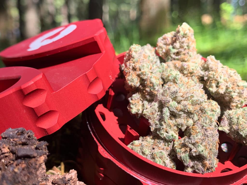 Phoenician Grinders Makes the Best Weed Grinder We Have Ever Used