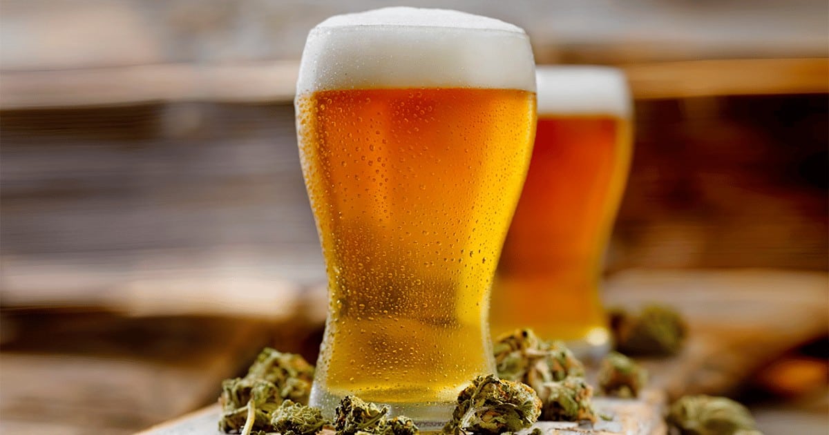 Fuel, Textiles, Protein, & Beer - Hemp is Only Getting Started