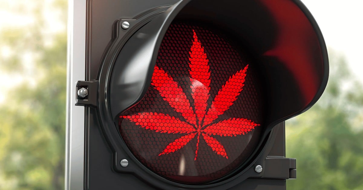 ny delays adult licensing middle 2023