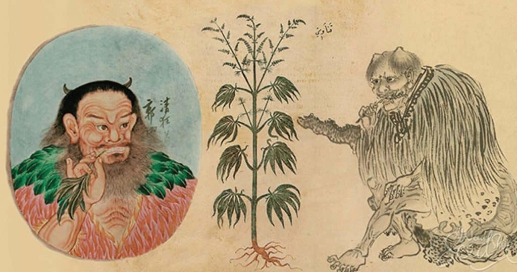 origins iIndustria hemp cultivation